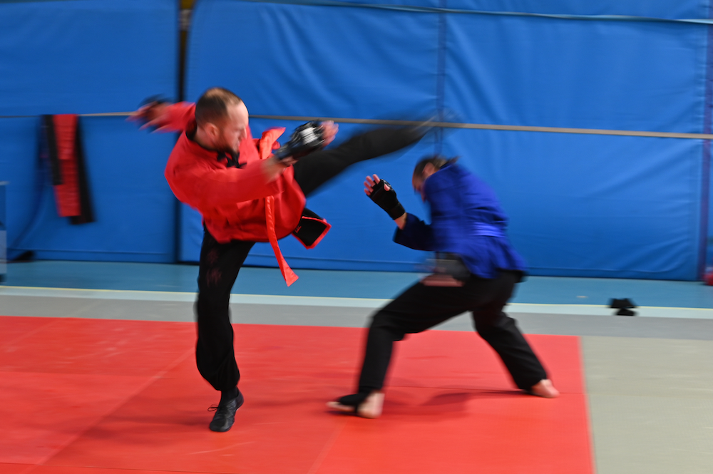 Stage KUNG FU dimanche 28 janvier