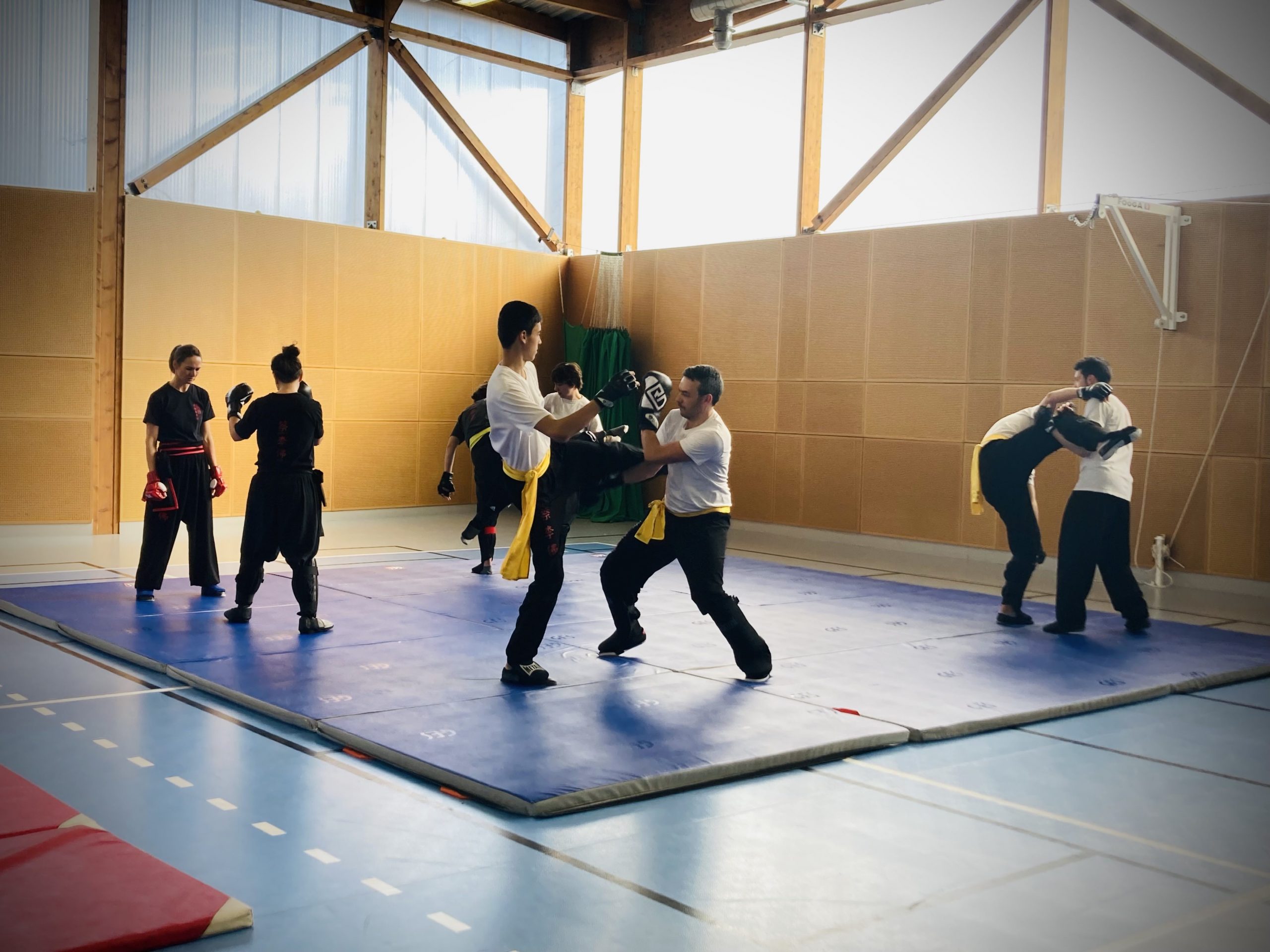 Stage Kung Fu Dimanche 22 octobre