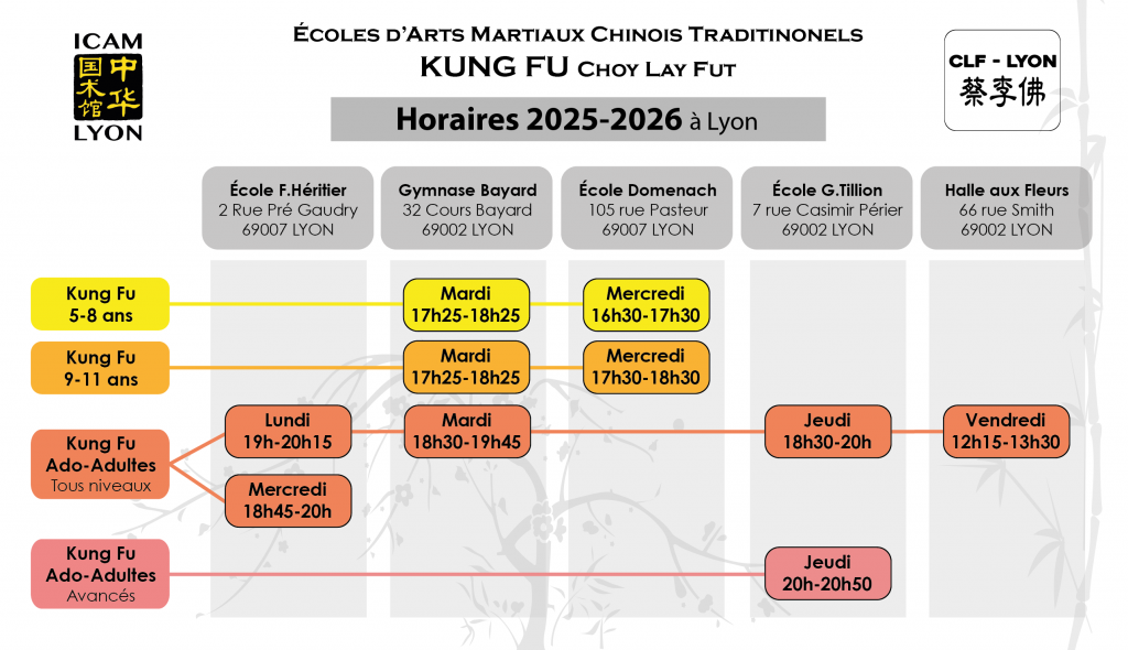 planning cours kung fu lyon